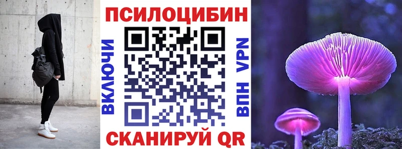 где продают наркотики  МЕГА зеркало  Галлюциногенные грибы Cubensis  Каспийск 
