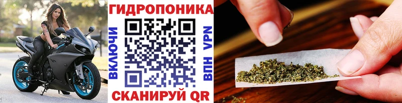 где купить   Каспийск  Каннабис MAZAR 